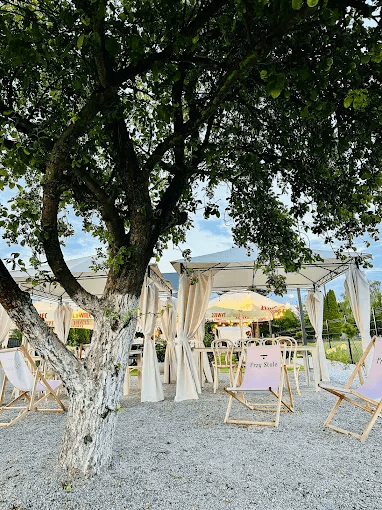Stare drzewo w ogrodzie restauracji, pod nim leżaki i parasole